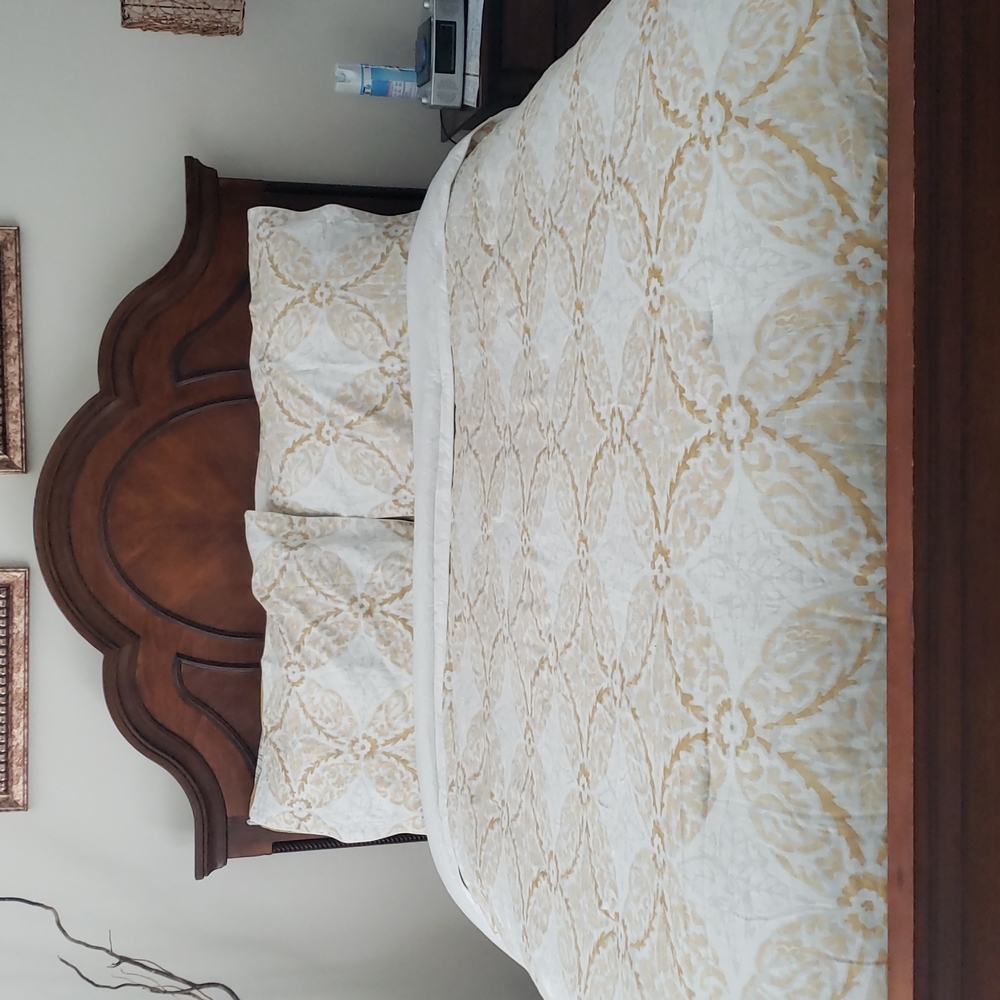 Southern Living Comforter and Shams